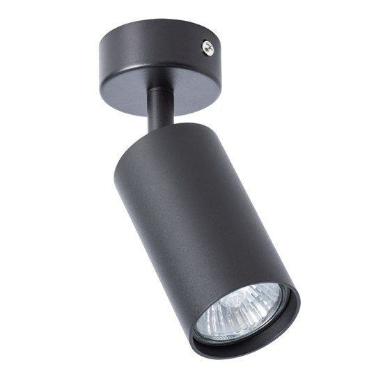 A3216PL-1BK Светильник  AQUARIUS  (Arte Lampe Италия) A3216PL-1BK - фото 604943
