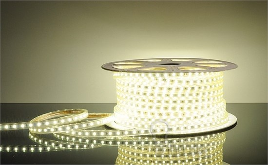 LSTR003 DC220V 14,4W IP65 белая 6500К Светодиодная лента (бухта 50м.) Elektrostandard ВЫВЕДЕНА ИЗ АССОРТИМЕНТА a033710 - фото 605802