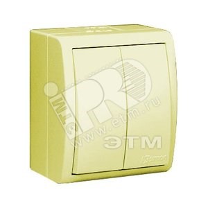 1594398-031 Выключатель двухклавишный, IP54, 10А 250В, винтовой зажим, S15A, слон. кость (уп.10шт.) 1594398-031 - фото 606234