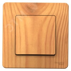 BLNVS010605 Blanca Одноклавишный переключатель (сх.6) 10А 250В~ ясень (уп.5шт.) Schneider Electric BLNVS010605 - фото 606282