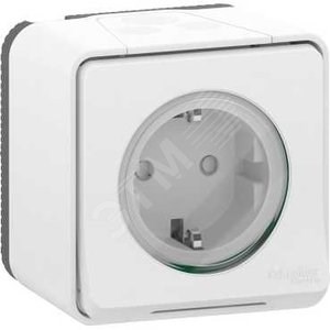 MUR39034 Mureva S Розетка 1 гнездо с заземлением, шторками и крышкой, IP55, белая (уп.10шт.) Schneider Electric MUR39034 - фото 607487