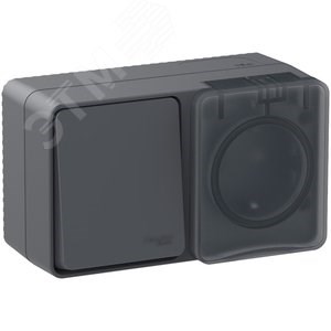 ATN544070 AtlasDesign Profi54 О/У БЛОК:розетка с заземлением со шторками 16А 250B, выключатель одноклавишный IP54 10А, антрацит Schneider Electric ATN544070 - фото 608660