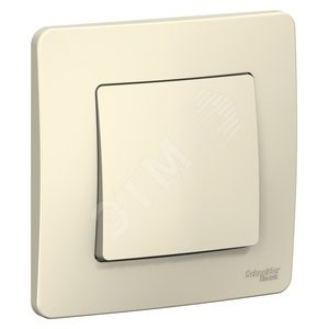 BLNVS010102 Blanca Одноклавишный выключатель (сх.1) 10А 250В~, молочный (уп.10шт.) Schneider Electric BLNVS010102 - фото 608979