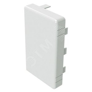 00881 LAN In-liner Заглушка торцевая 200х60мм ДКС (Россия) 00881 - фото 609023