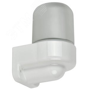 TA-NPB0-4506-060-K01-G Terma Generica НПБ 450-6 IP54 60Вт БЕЛЫЙ Светильник для бани и сауны настенный, угловой (уп.16шт.) IEK® TA-NPB0-4506-060-K01-G - фото 609238