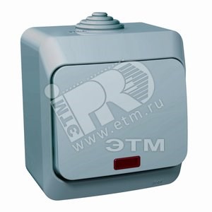BA 10-045C ЭТЮД Одноклавишный выключатель (сх.1) с подсветкой IP44 серый (уп.14шт.) Schneider Electric ВА 10-045С - фото 611380