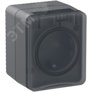 ATN544045 AtlasDesign Profi54 Розетка 1 гнездо с заземлением, шторкамии и крышкой IP54, антрацит (уп.12шт.) Systeme Electric (Россия) ATN544045 - фото 612077