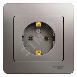 GSL001242 Glossa Розетка 1 гнездо с заземлением, платина, механизм (уп.15шт.) Schneider Electric GSL001242 - фото 615727