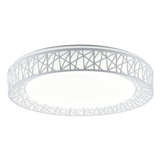 TL1204X-72WH Diana Светильник потолочный Toplight TL1204X-72WH - фото 615799