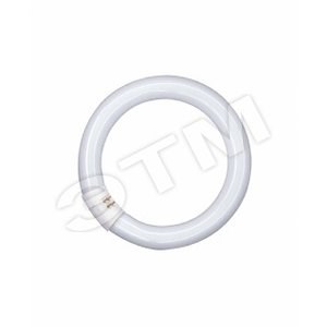 581082 L 22W/840 G10Q Лампа люминесцентная кольцевая (уп.12шт.) OSRAM ВЫВЕДЕНА ИЗ АССОРТИМЕНТА 4008321581082 - фото 616511