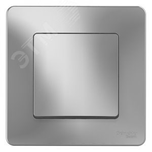 BLNVS010103 Blanca Одноклавишный выключатель (сх.1) 10А 250В~ алюминий (уп.10шт.) Schneider Electric BLNVS010103 - фото 620032