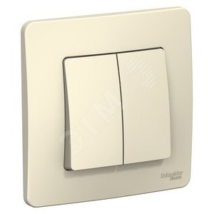 BLNVS010502 Blanca Двухклавишный выключатель (сх.5) 10А 250В~, молочный (уп.10шт.) Schneider Electric BLNVS010502 - фото 620248
