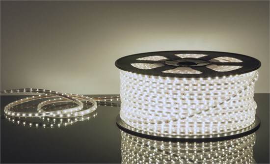 LSTR001 DC220V 4,4W IP65 белая 6500К Светодиодная лента (бухта 50м.) Elektrostandard ВЫВЕДЕНА ИЗ АССОРТИМЕНТА a033628 - фото 622517