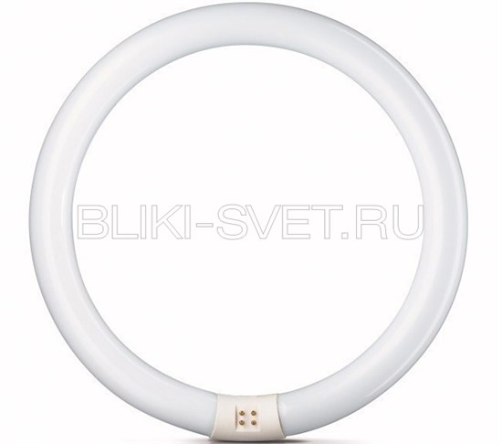 55942515 PHILIPS TL-E 22W/33-640 G10q белый свет Лампа люминесцентная кольцевая (уп.12шт.) 871150055942515 - фото 622938