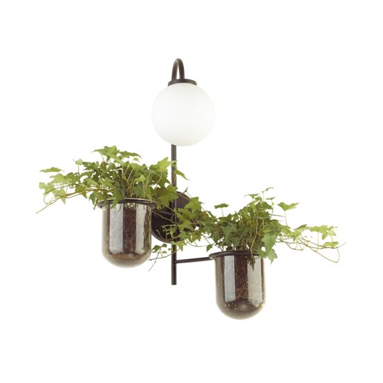 4681/1W ODL20 625 черный/белый Настенный светильник E14 1*40W 220V FLOWER ODEON LIGHT 4681/1W - фото 623651