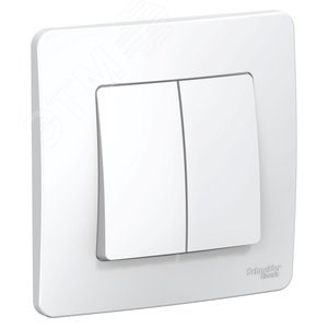 BLNVS106601 Blanca Переключатель двухклавишный (сх.6/2), белый (уп.10шт.) Systeme Electric (Россия) BLNVS106601 - фото 623712