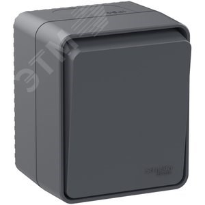 ATN544061 AtlasDesign Profi54 Одноклавишный переключатель (сх.6) IP54, антрацит Schneider Electric ATN544061 - фото 624894