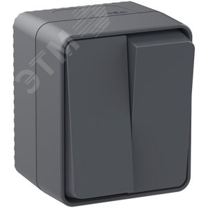 ATN544051 AtlasDesign Profi54 Двухклавишный выключатель (сх.5) IP54, антрацит Schneider Electric ATN544051 - фото 625567