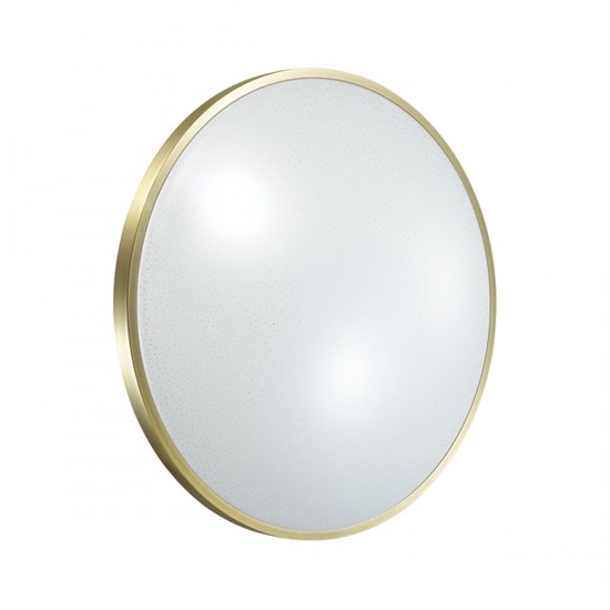 2089/DL PALE SN 079 Светильник пластик/белый/бронза LED 48Вт 3000-6300K D440 IP43 пульт ДУ LOTA BRONZE SONEX 2089/DL - фото 628008