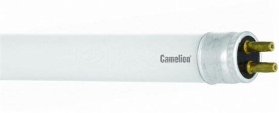 FT4-8W/54 Daylight (6500K) Лампа люминисцентная (уп.10/200шт.) Camelion FT4-8W/54 - фото 628770