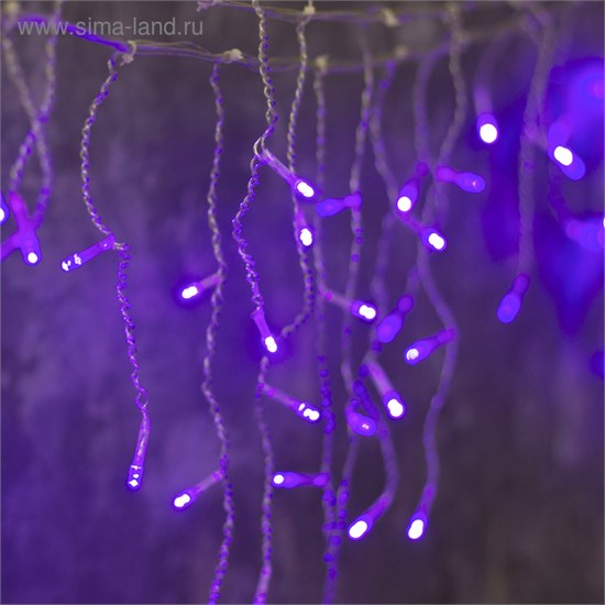 3556848 Гирлянда "Бахрома", 3 х 0.5 м, LED-80-220V, 8 режимов, нить прозрачная, свечение фиолетовое 3556848 - фото 630518