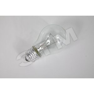 LKsmSt55CL95E27v2 Лампа накаливания А55 прозрачная 95W E27 (уп.100шт.) Космос LKsmSt55CL95E27v2 - фото 630913