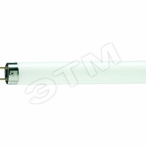72221840 PHILIPS TL-D 15W/54-765 Лампа линейная люминесцентная G13 дневная СНЯТА С ПРОИЗВОДСТВА 871150072221840 - фото 631462