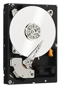 Western Digital HDD SATA-III 500Gb Raid Edition WD5003ABYZ, 7200rpm, 64MB buffer (WD5003ABYZ ) WD5003ABYZ - фото 632862