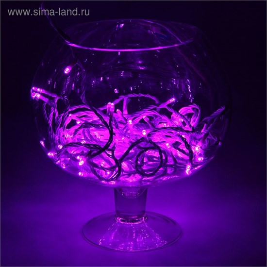 1672045 Гирлянда "Метраж" УМС, 10 м, Н.Б., LED-100-24В, б/контр., ФИОЛЕТ 1672045 - фото 633489