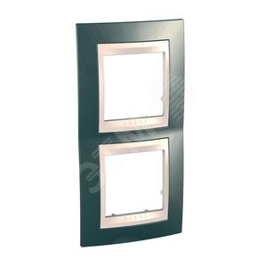 MGU6.004V.524 Unica Хамелеон Рамка вертикальная, 2 места, шампань/бежевая Schneider Electric MGU6.004V.524 - фото 634121