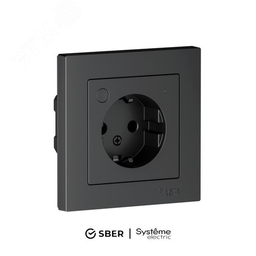 ATN001045Z AtlasDesign Smart Механизм умной розетки 1 гнездо с заземлением и шторками, Zigbee, L+N, карбон Systeme Electric (Россия) ATN001045Z - фото 635426