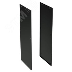 RBITCPLS1210 RAM telecom 1200х1000 RAL9005 Панель боковая односекционная для 19' IT-CQE 2шт. ДКС (Россия) RBITCPLS1210 - фото 636708