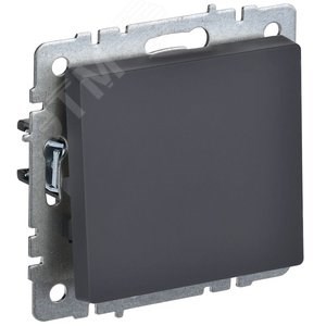 BR-V14-0-10-K53 ВС10-1-4-БрГ BRITE Механизм кнопки одноклавишной без фиксации (сх.1), графит (уп.10шт.) IEK® (Китай) BR-V14-0-10-K53 - фото 636963