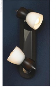 LSL-8201-02 Светильник настенный LSL-8201-02