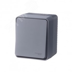 ATN544011 AtlasDesign Profi54 Одноклавишный выключатель (сх.1) IP54, антрацит Schneider Electric ATN544011