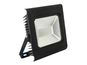 LFL-10010 С02 черный Прожектор светодиодный 100Вт, 230В, 6500К (уп.2шт.) Camelion LFL-10010 С02