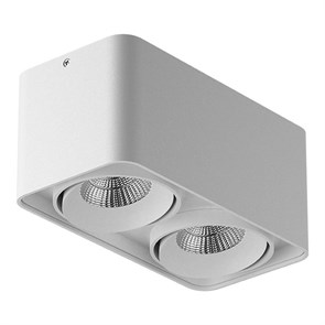 052126 Monocco LED 2х10W 1720LM 30G Белый 4000K Светильник накладной Lightstar (Италия) 052126