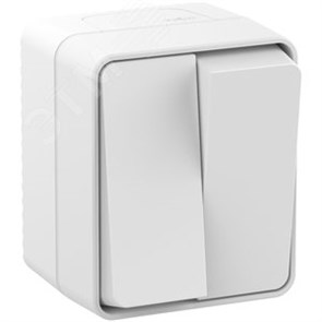 ATN540151 AtlasDesign Profi54 Двухклавишный выключатель (сх.5) IP54, белый Schneider Electric ATN540151
