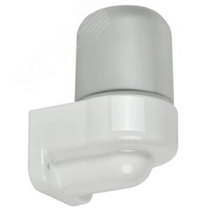 TA-NPB0-4506-060-K01-G Terma Generica НПБ 450-6 IP54 60Вт БЕЛЫЙ Светильник для бани и сауны настенный, угловой (уп.16шт.) IEK® TA-NPB0-4506-060-K01-G