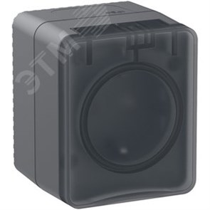 ATN544045 AtlasDesign Profi54 Розетка 1 гнездо с заземлением, шторкамии и крышкой IP54, антрацит (уп.12шт.) Systeme Electric (Россия) ATN544045