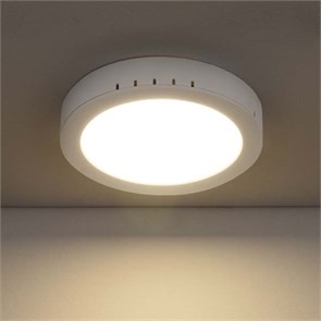 DLR020 18W 4200K Универсальный накладной/встраиваемый потолочный светодиодный светильник Elektrostandard DLR020 18W 4200K