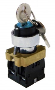 SQ0703-0009 Переключатель BG45 черный 2 положения с ключом 1з+1р (уп.10шт.) TDM SQ0703-0009