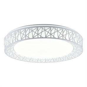 TL1204X-72WH Diana Светильник потолочный Toplight TL1204X-72WH