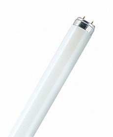 FT8 30W/33 Cool light (4200K) Люминисцентная лампа (уп.25шт.) Camelion FT8 30W/33 Cool light (42