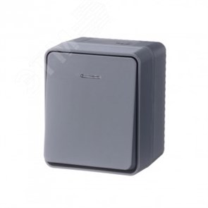 ATN544013 AtlasDesign Profi54 Одноклавишный выключатель (сх.1) с подсветкой IP54, антрацит Schneider Electric ATN544013