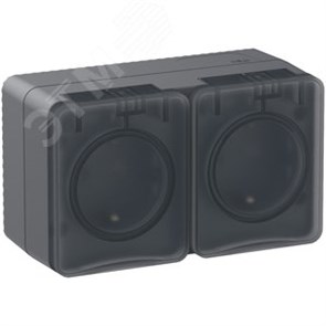 ATN544026 AtlasDesign Profi54 Розетка 2 гнезда с заземлением, шторкамии и крышкой IP54, антрацит (уп.6шт.) Systeme Electric (Россия) ATN544026