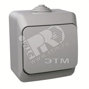 BA 10-041C ЭТЮД Одноклавишный выключатель (сх.1), IP44, серый (уп.14шт.) Systeme Electric (Россия) BA10-041C