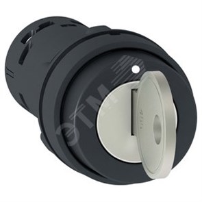 XA2EG21/XB7NG21/XB7EG21P Переключатель 2 позиции, 1н.о., 22мм, с ключом (уп.10шт.) Schneider Electric XA2EG21