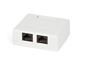 SB1-2-8P8C-C5e-WH/SB2-2-8P8C-C5e-WH Розетка компьютерная RJ-45(8P8C), Cat.5е, 2 гнезда, внешняя, Dual IDC Hyperline 430234