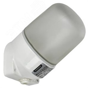 TA-NPB0-4504-060-K01-G Terma Generica НПБ 450-4 IP54 60Вт БЕЛЫЙ Светильник для бани и сауны настенный, наклонный (уп.16шт.) IEK® TA-NPB0-4504-060-K01-G